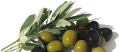 Diet With Olives – 8 Pounds In 3-5 Days, Loss Weight And Rejuvenate