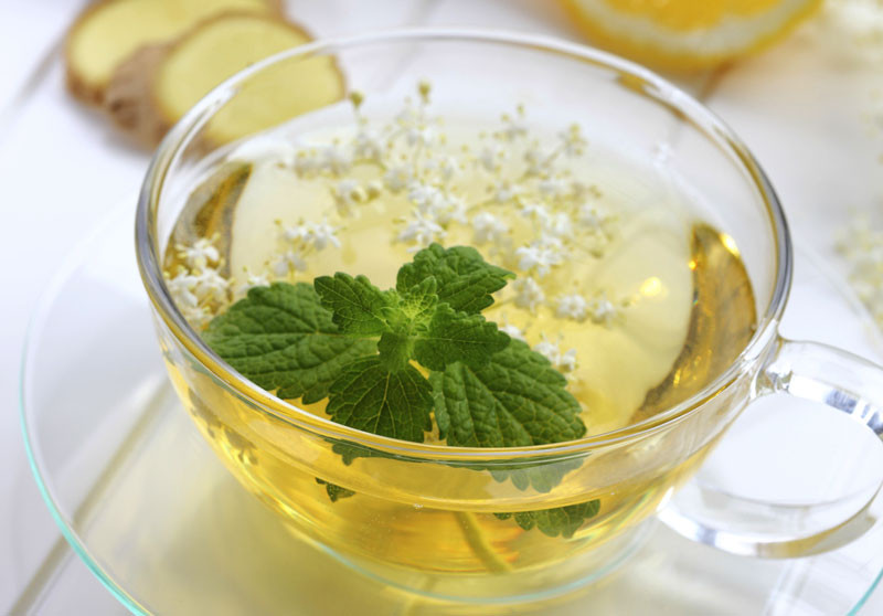 Drink Of elderflower Natural Cure That Shortens The Duration Of The Flu