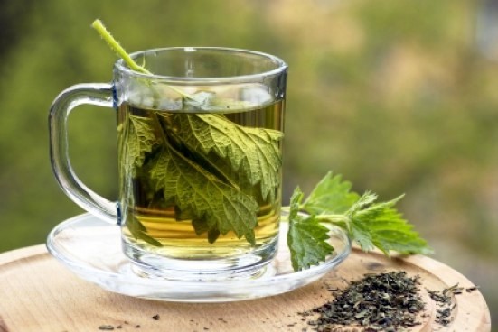 Nettle - Clean Your Body With This Powerful Herb