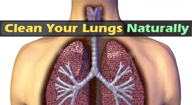 Clean Your Lungs From Nicotine Naturally