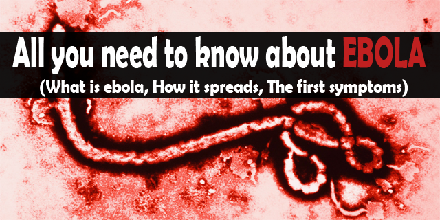 All you need to know about Ebola1