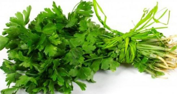 These Foods Contain A Substance That Kills Cancer Cells!jpg