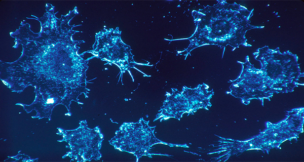 Spread The Word Dr. Warburg In 1923 Discovered What Causes Cancer And How To Cure It!