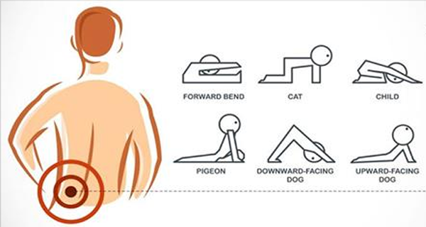 4 Exercises For Lower Back Pain Relief