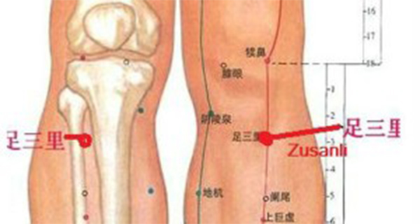 ZU SAN LI-Point of Longevity, Or Point of Hundred Diseases. If You Massage This Spot On Your Body, It Will Do Wonders For Your Health!