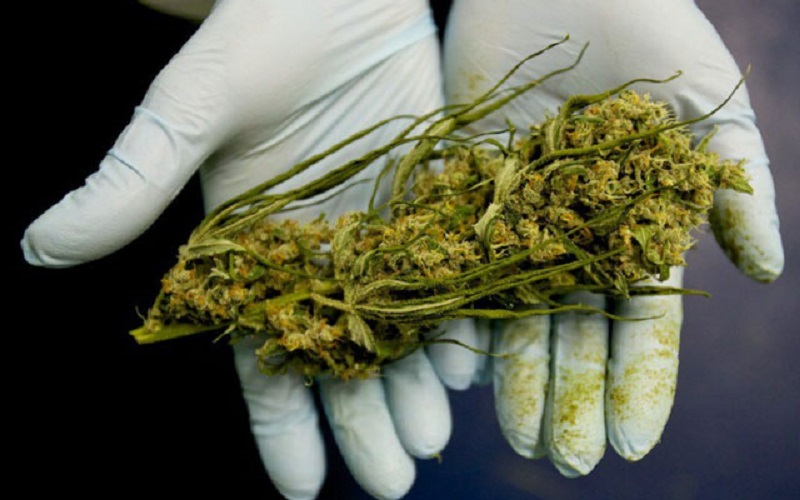 marijuana