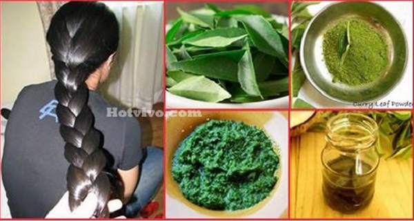 How To Use Curry Leaves For Hair Growth
