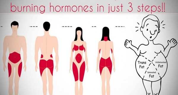 This Is How To Activate Your Fat Burning Hormones Melt Fat Like Butter