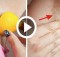 Get White Underarms In 3 Minutes