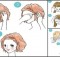 Brilliant-3-Minute-Hairstyles-Every-Girl-Should-Know1