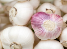 Every Morning Put a Clove of Garlic in The Mouth – Here’s Why…