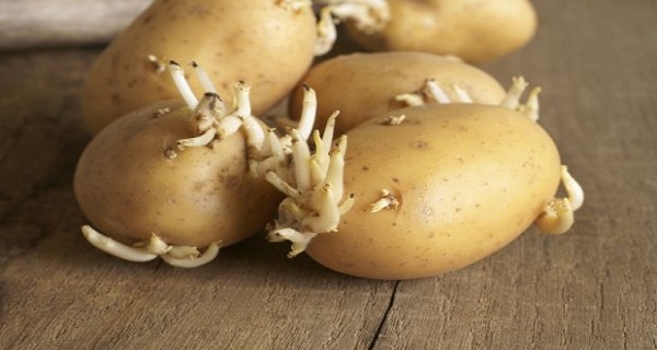 These Foods Can be DEADLY, and Most of Us Have Them in the Kitchen