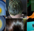 13 Best Natural Home Remedies for Hair Growth