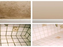 Get Rid of Mold Naturally WITHOUT Chemicals in 5 Simple Ways