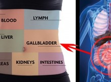 How to Detox Each Organ to Never Be Sick or Tired Again