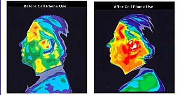 Cell Phone Radiation and Cancer The Top 5 Phones With The Highest Radiation