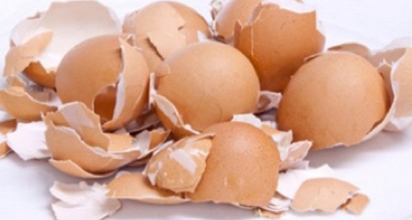 NEVER THROW AWAY EGG SHELLS! HERE ARE SOME AMAZING USES FOR THEM!