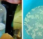 NOBODY UNDERSTOOD WHY HER HOUSE ALWAYS SMELLED SO GOOD. THEN SHE REVEALED THIS SECRET!