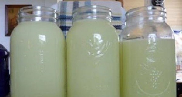 IMMEDIATELY BEGIN TO USE IT He Drank This Drink Every Day And Lived 152 Years!