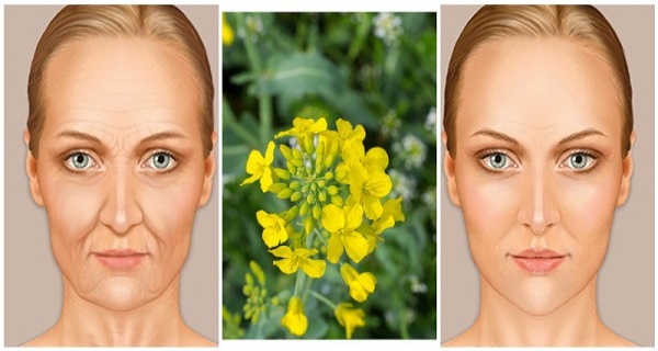The Famous Russian Elixir You Must Try Removes 10 to 20 Years Off Your Face And The Effects Are Amazing!