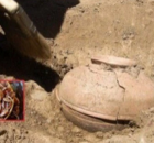 Archaeologists Found And Planted The Seeds, 800 Years Old. It Will Shock You What Has Grown!