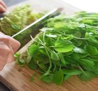 This Is The Healthiest Vegetable In The World, But Only A Few Know This!