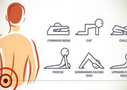 4-simple-exercises-you-can-do-to-deal-with-back-pain