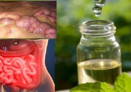 colon-cleanse-3-ingredient-juice-to-effectively-flush-out-pounds-of-toxins-from-your-body