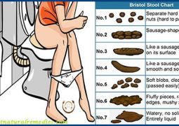 poop_chart